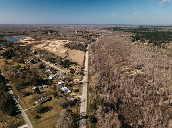 Comment cultiver des champignons shiitake à la maison ?